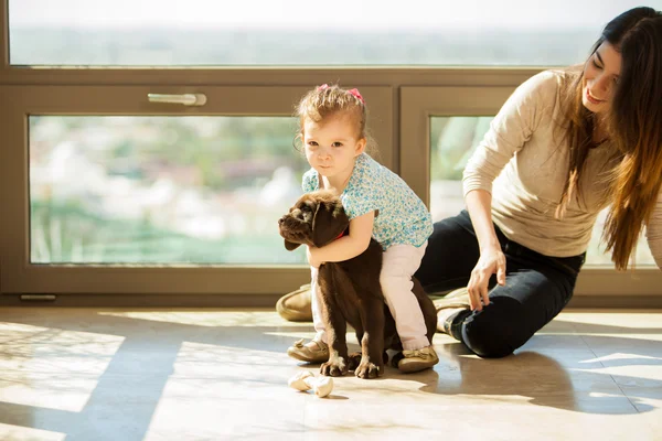 Mãe e filha brincando com um cachorro — Fotografia de Stock