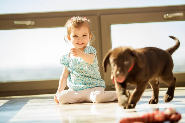 Dívka si hraje se psem — Stock fotografie