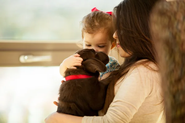 Anne ve kızı ile bir köpek — Stok fotoğraf