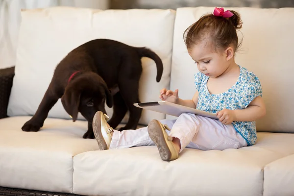 犬と、タブレットを持つ少女 — ストック写真
