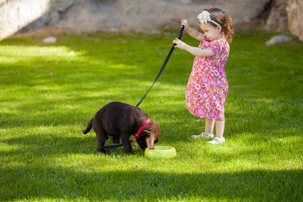 Menina cão alimentando — Fotografia de Stock