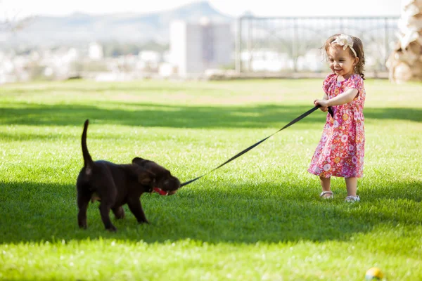 女の子は自然に犬と一緒に遊ん — ストック写真