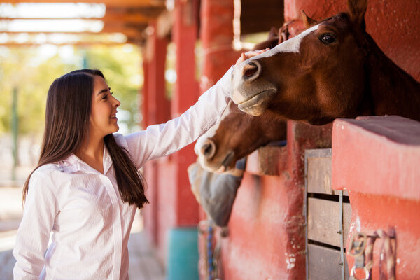 Girl petting couple of horses in the stables