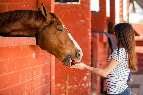 Mujer alimentando una manzana a su caballo en los establos — Foto de Stock