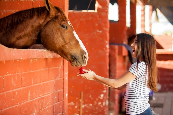 Niedliches Mädchen füttert Pferd einen Apfel — Stockfoto