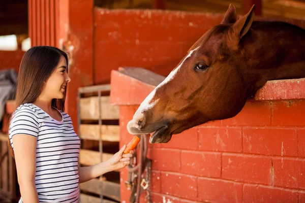 Flicka utfodring en häst i en ranch — Stockfoto