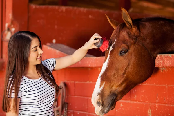 Vrouw borstelen en het verzorgen van haar paard — Stockfoto