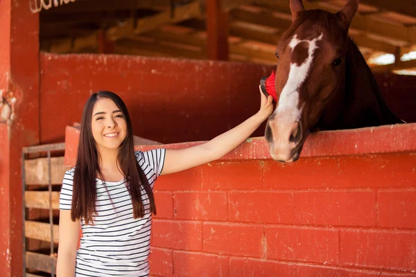 Brunette brushing and grooming a horse — Stock Photo, Image