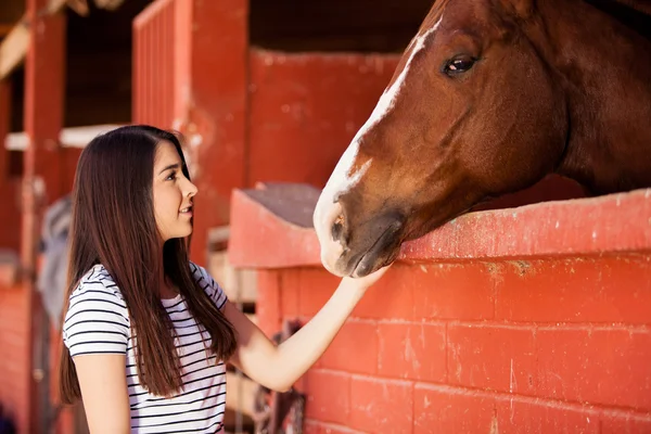 Mulher interagindo e se conectando com um cavalo — Fotografia de Stock