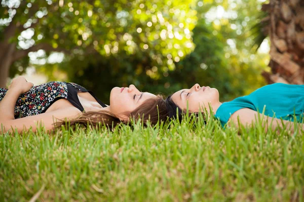 Napping together at a park — Stock Photo, Image