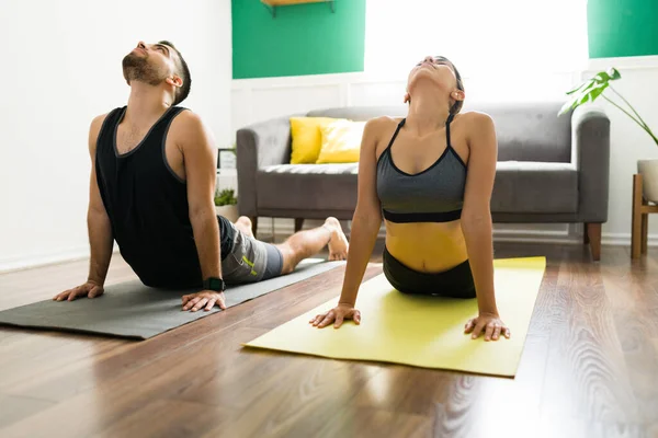 Socios Entrenamiento Relajados Haciendo Una Pose Cobra Yoga Relajándose Durante —  Fotos de Stock