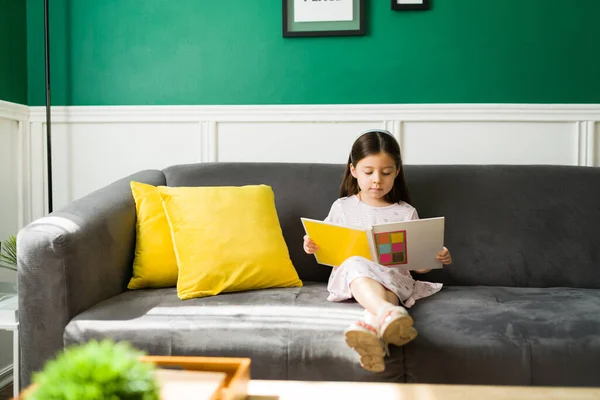 Disfrutando Nuevo Libro Niña Inteligente Sentada Sofá Leyendo Libro Fotos — Foto de Stock