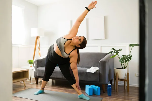 Mujer Obesa Activa Ropa Deportiva Estirándose Mientras Comienza Entrenamiento Casa — Foto de Stock