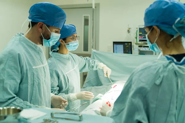Soustředěná Chirurgka Držící Chirurgické Nástroje Mluvící Sestrou Během Operace Operačním — Stock fotografie