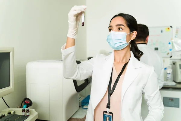 西班牙裔研究助理在测试浴缸里检查血液样本 并在实验室里进行科学实验 — 图库照片