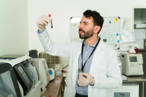 Bioquímico Inteligente Patologista Verificando Tubo Teste Com Uma Amostra Sangue — Fotografia de Stock