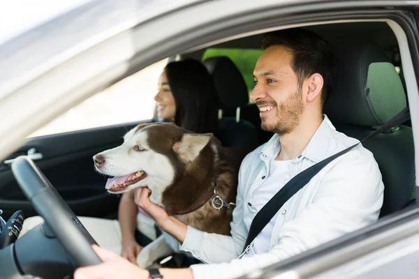 魅力的な幸せな男が運転し 彼のパートナーと彼の汚い犬と休暇旅行に行く — ストック写真