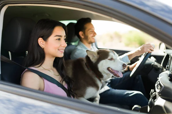 彼氏とのロードトリップを楽しみながら道を眺めながら笑顔を見せる美しいヒスパニック女性と可愛いハスキー犬 — ストック写真