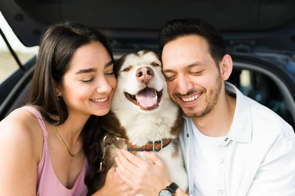 Portrait Caring Loving Couple Hugging Beautiful Happy Husky Dog While — Stockfoto