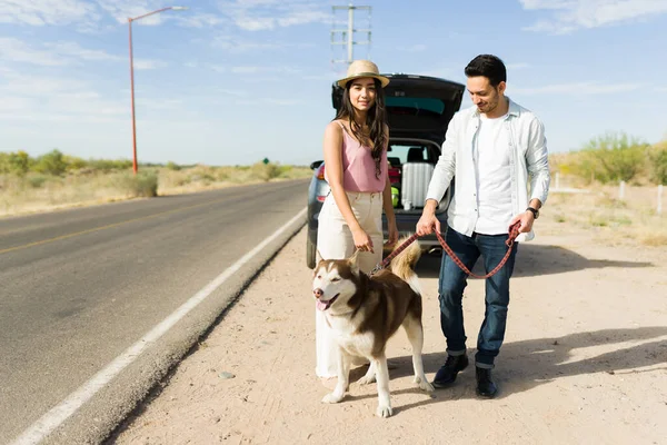 Güzel İspanyol çift yol kenarında köpeğini gezdirirken arabayla tatile çıkıyor.