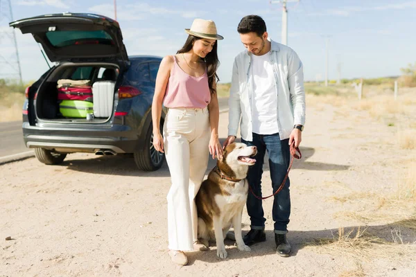 Relaxed Happy Couple Petting Husky Dog While Resting Side Road — Foto de Stock