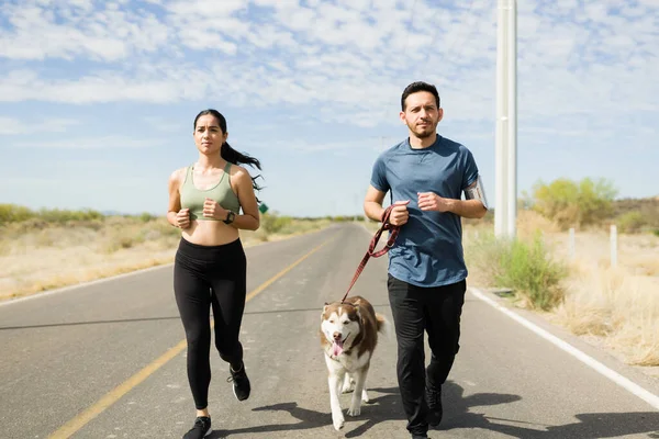 Attractive Couple Activewear Working Out Running Together Road Husky Dog — Photo