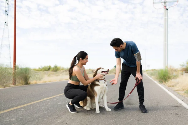 Sporty Young Couple Petting Husky Dog While Taking Break Running — Stockfoto