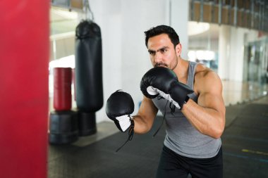 Kaslı latin adam antrenman yaparken boks eldiveni kullanıyor ve torbaya yumruk atıyor.
