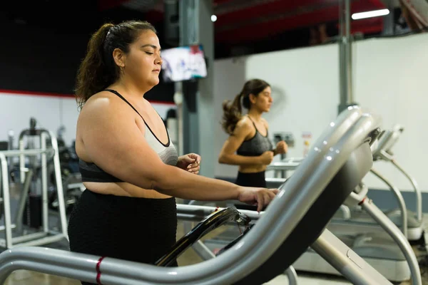 Испанская Толстая Женщина Начинает Кардио Тренировки Тренажерном Зале Похудеть Толстая — стоковое фото