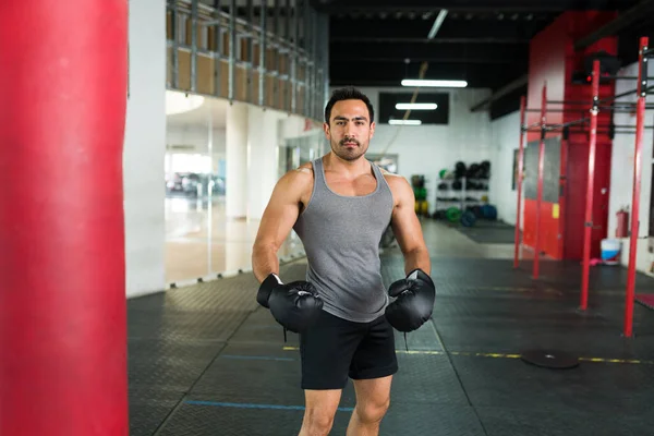Svalnatý Muž Silnými Bicepsy Pomocí Boxerských Rukavic Připraven Použít Boxovací — Stock fotografie