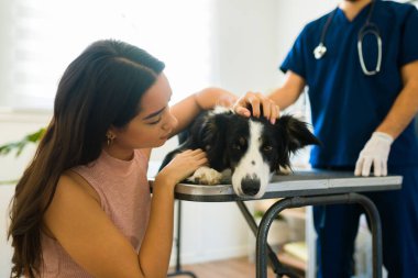 Depresyondaki genç kadın üzgün hissediyor ve hayvan kliniğindeki hasta köpeğine veda ediyor. 