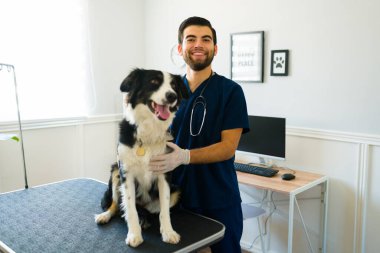 Hayvan kliniğinde sağlıklı bir köpeğe bakarken gülümseyen yakışıklı bir veterinerin portresi.