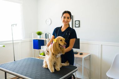 Mavi üniforma giyen güzel bir kadın veterinerin portresi ve hayvan hastanesinde şirin bir köpeğini okşaması.