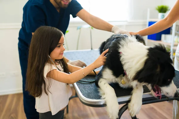 Happy Little Girl Playing Stethoscope Treating Border Collie Dog Vet — Stock Photo, Image