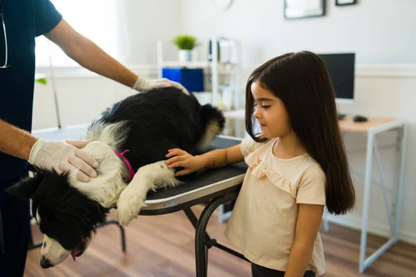 Veterinerlik Kliniğindeki Hasta Köpeğinden Endişe Duyan Üzgün Latin Kız — Stok fotoğraf