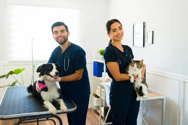 Hispánská Mladá Žena Muž Pracující Jako Profesionální Veterináři Léčení Psa — Stock fotografie