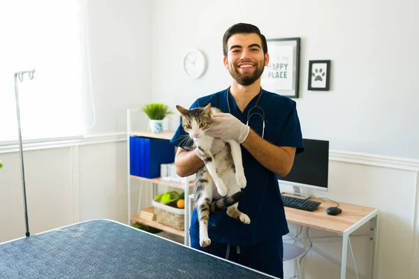 Portrait Handsome Male Vet Carrying Beautiful Cat Pet Giving Medical — Stock Photo, Image