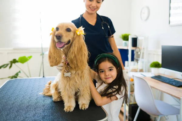 Retrato Uma Menina Adorável Sorrindo Enquanto Acaricia Adotando Cocker Spaniel — Fotografia de Stock