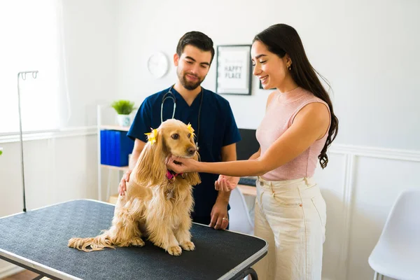 Feliz Joven Sonriendo Mientras Siente Aliviada Por Llevar Perro Cocker —  Fotos de Stock