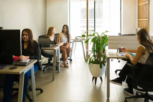 Diverse Female Workers Office Sitting Desks Working All Women Workplace — Stok fotoğraf