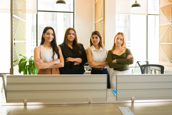 Portrait Multiracial Diverse Female Workers Working All Women Business Office — Stock Photo, Image