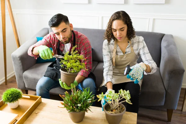Gyönyörű Pár Zöld Leveleket Vágnak Kertészkednek Miközben Otthon Öntözik Gyönyörű — Stock Fotó