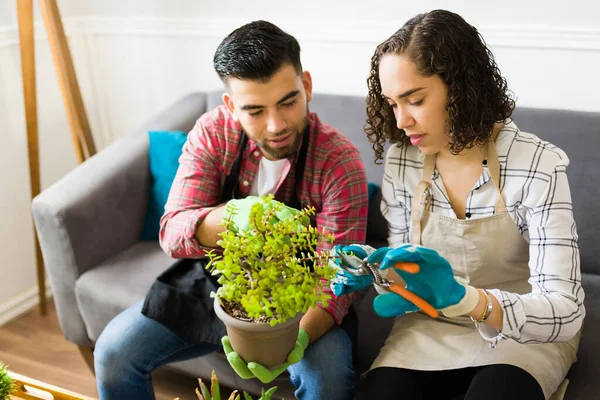 Caucasian Young Couple Aprons Enjoying Gardening Hobby Taking Care Green — стоковое фото