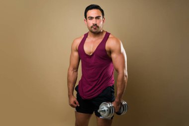 Determined strong young man ready to do weightlifting and holding dumbbells while looking at the camera and working out