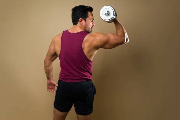 Rear View Fit Young Man Strong Back Muscles Doing Bicep — Stockfoto