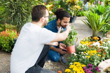 Beautiful gay couple smelling beautiful flowers and enjoying a date at the nursery garden 