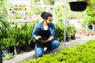 Latin young man with an apron looking for a plant species online on a tablet while working at the nursery garden