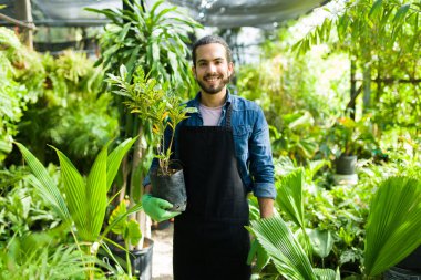 Hispanic young man showing the small trees and plants while working and gardening at the nursery garden