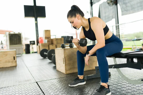 Fit Young Woman Working Out Gym Doing Bicep Curl Exercises — Stock Photo, Image