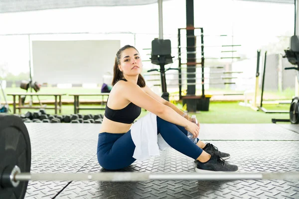 Çekici Fit Kadın Spor Salonunda Oturuyor Halter Ağırlık Egzersizleri Yapmaya — Stok fotoğraf